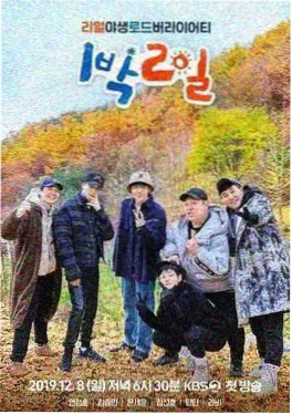 乐队的夏天